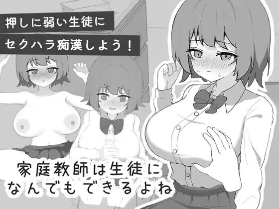 家庭教师对学生什么都能做吧 家庭教師は生徒になんでもできるよね 生肉版 PC端 日文原版 预览图