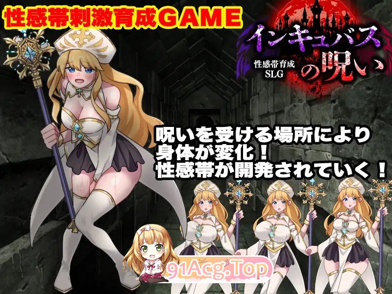 敏感带培育SLG 梦魔的诅咒 性感帯育成SLG インキュバスの呪い PC端 AI汉化更新版 预览图