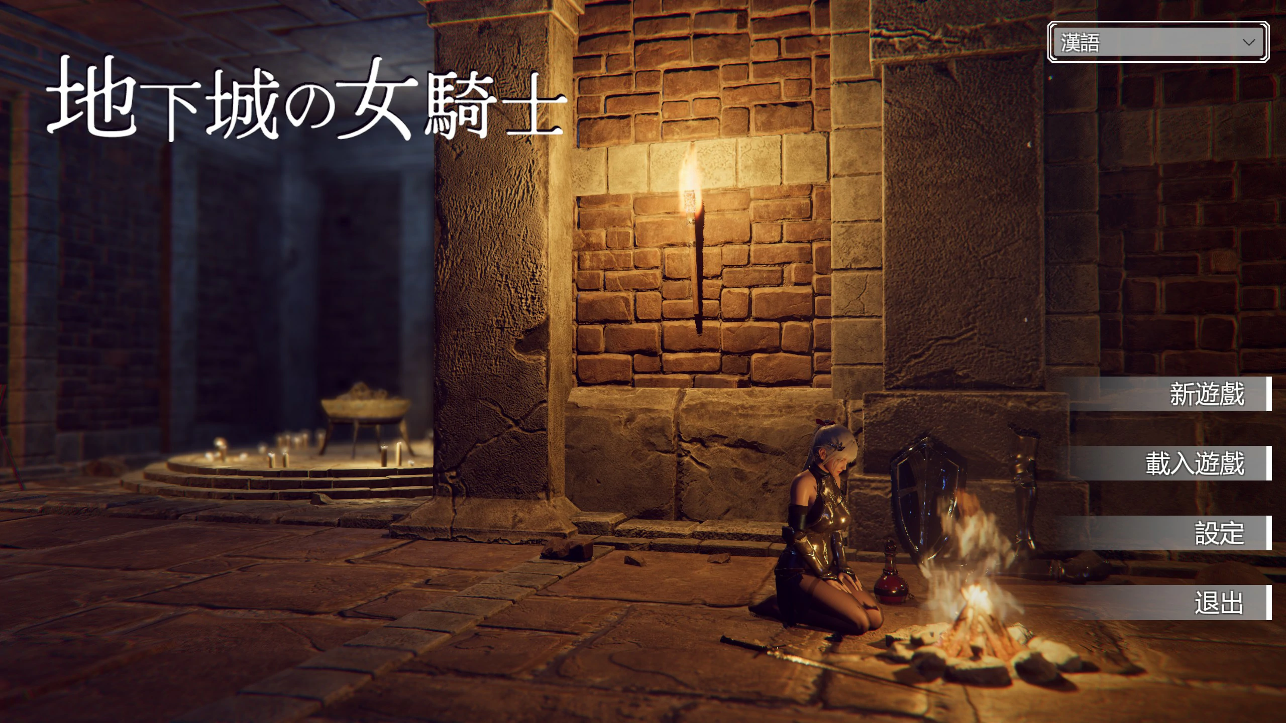 地下城的女骑士 官方中文高清版 PC端 官中高清版 预览图