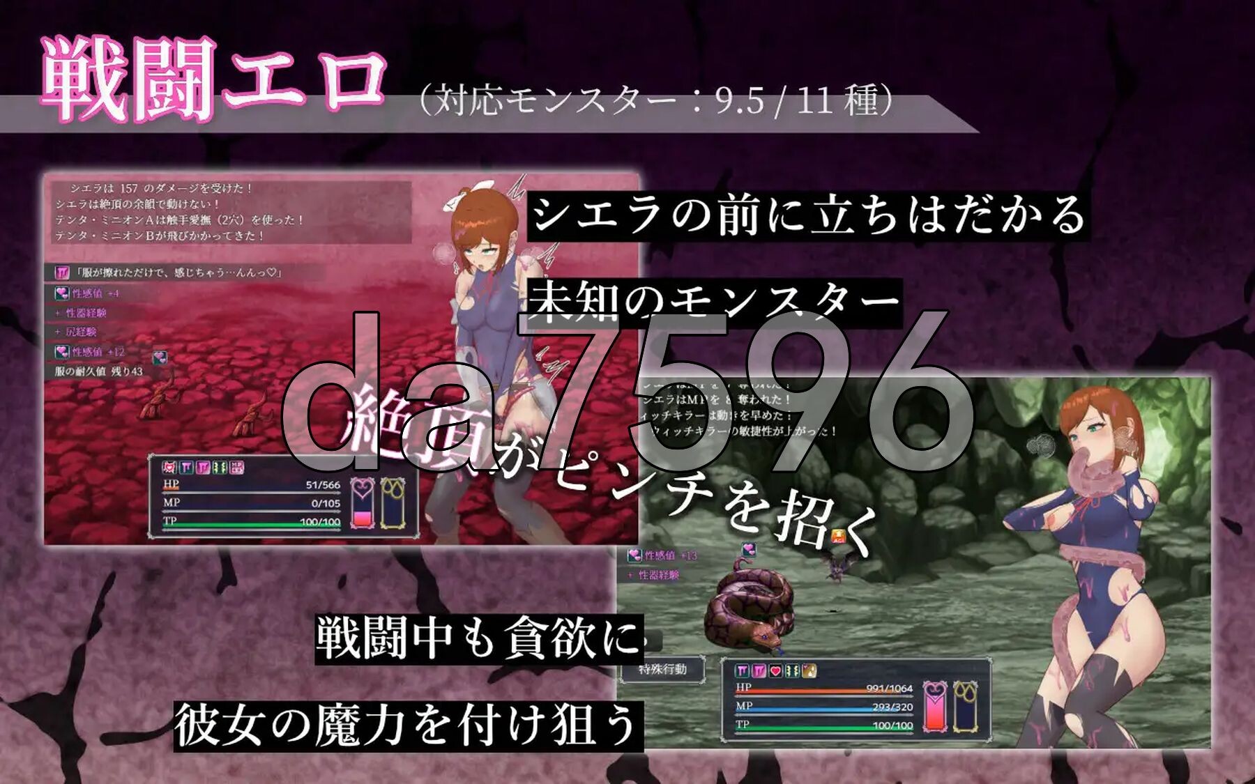希艾拉的淫靡异变调查-女剑士独自沉沦 - シエラの淫らな異変調査-女剣士はソロでイク 双端 AI汉化更新版 预览图