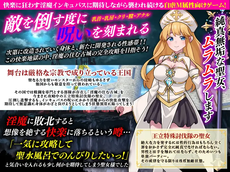 性感帯育成SLG インキュバスの呪い PC端 AI汉化版 预览图