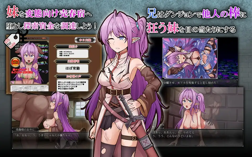 网络出轨情绪波动精灵妹妹剑士塞莉卡 ネトラレ発情エルフ妹剣士セリカ PC端 AI汉化版 预览图