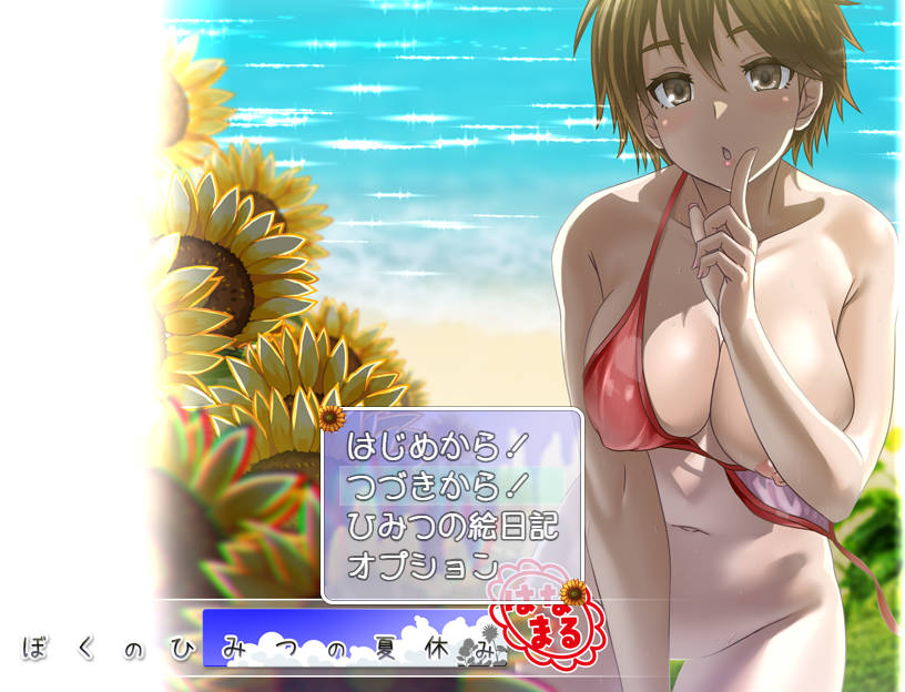 我的秘密暑假 花丸/ぼくのひみつの夏休み はなまる ver1.1.0 PC端 AI汉化版 预览图