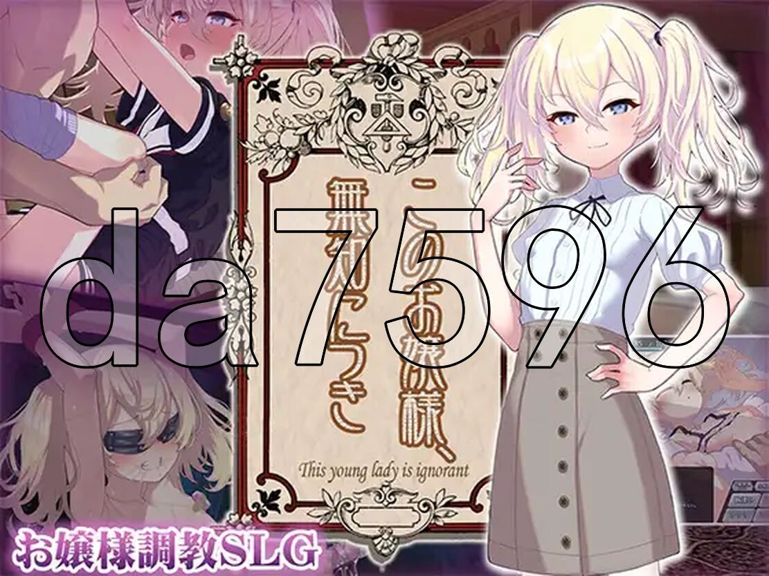 懵懂无知的大小姐 このお嬢様、無知につき V2 V1.1.0 PC端 AI汉化版 预览图
