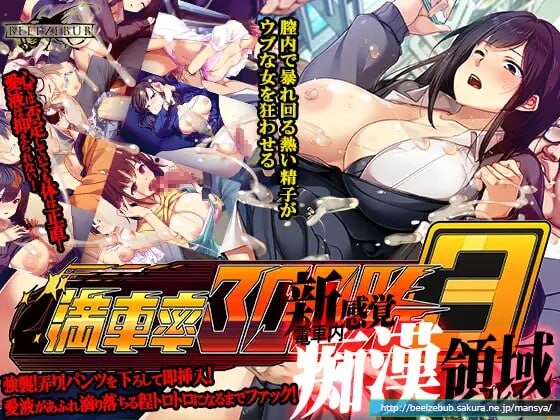 満車率300% 3≒+Append.1 鉄板ギャル御乗車ぱっち PC端 官中更新版 预览图