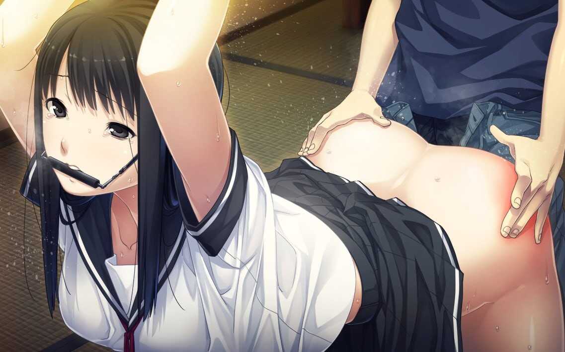 夏之锁 夏ノ鎖 v1.0.1 PC端 汉化版无码 预览图
