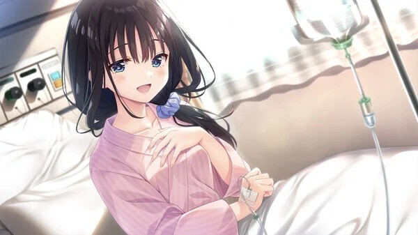 痴情哥哥与病弱妹妹的乡间生活 Sickly Days and Summer Traces DLC1-5 动态步兵官中版 PC端 官中步兵 预览图