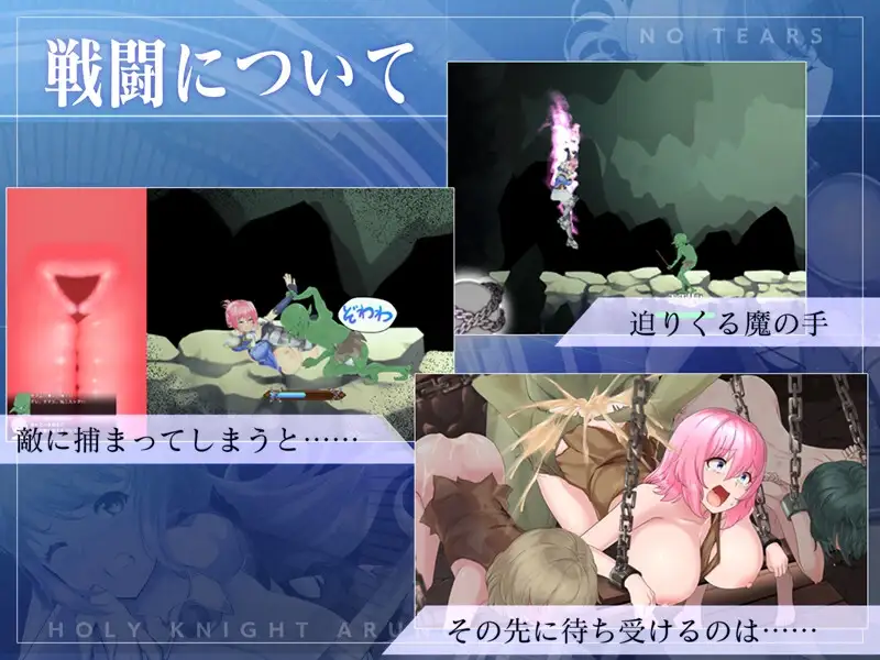 圣骑士阿尔内与魔孕的咒印 聖騎士アルネと魔孕の呪印～Another No Tears～ Ver1.0. PC端 预览图