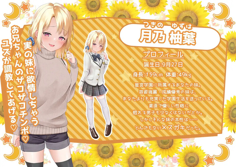 妹妹的夏日生活（メスガキサマーライフ）V1.0 内嵌AI汉化版 双端 预览图