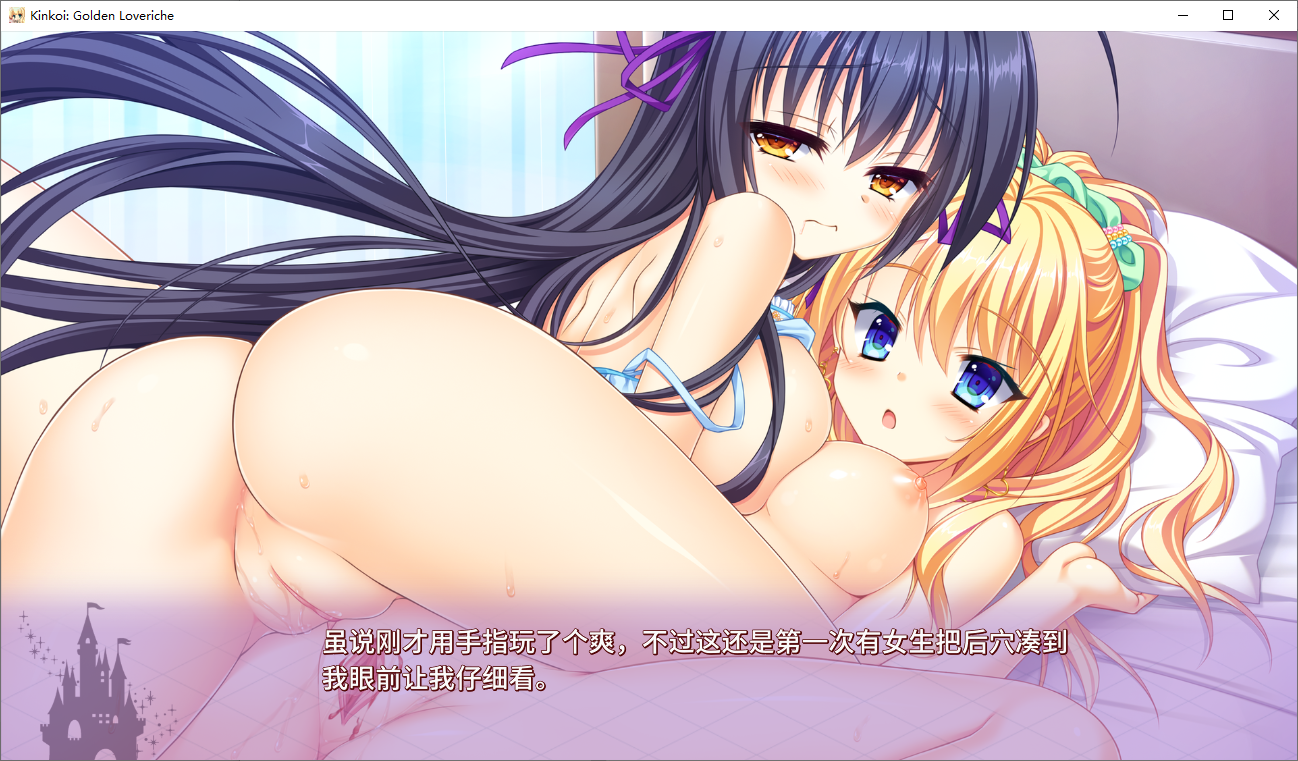 金辉恋曲四重奏+FD PC端 汉化完整版 预览图