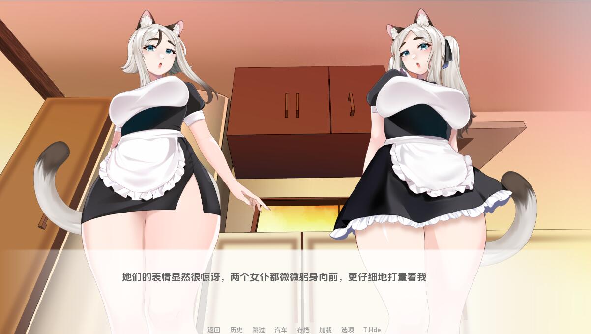 猫女 涅槃米糠 Nezumicon-v0.1.23 双端 汉化版 预览图