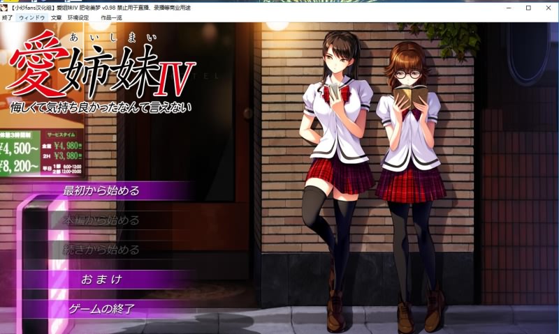 爱姐妹4 愛姉妹IV：肥宅美梦 汉化硬盘版 PC端 汉化版 预览图